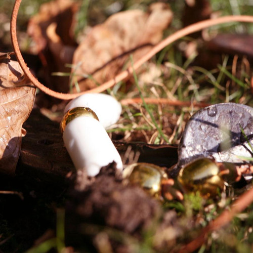 Zlaté pardubické (porcelán) — foto 4