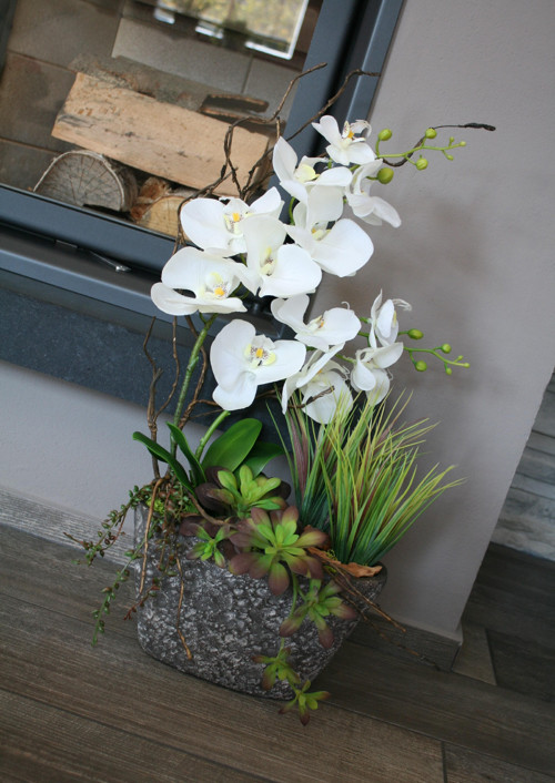Orchideje a sukulenty — foto 2