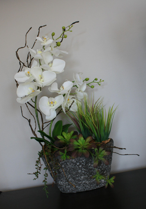 Orchideje a sukulenty — foto 3