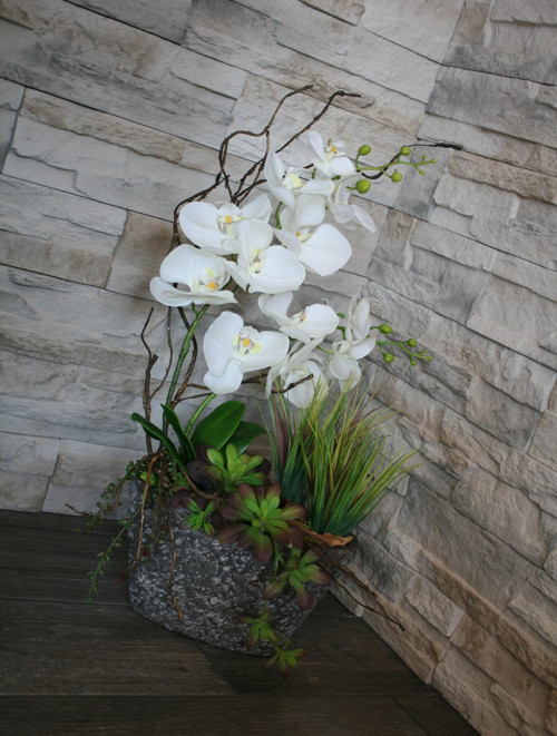 Orchideje a sukulenty — foto 4