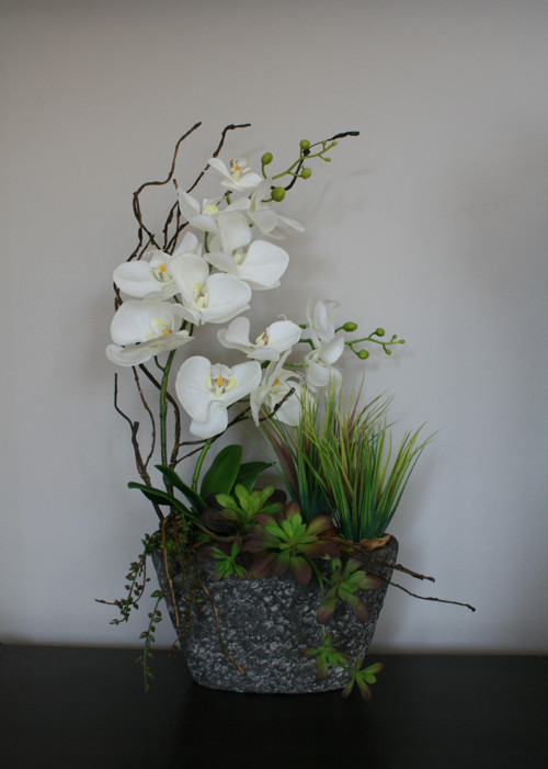 Orchideje a sukulenty — foto 5