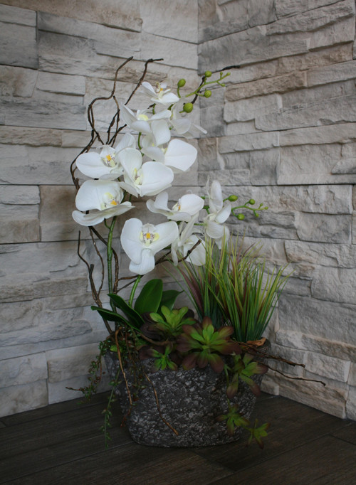 Orchideje a sukulenty — foto 6