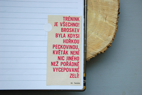 Zapsáno... — foto 4