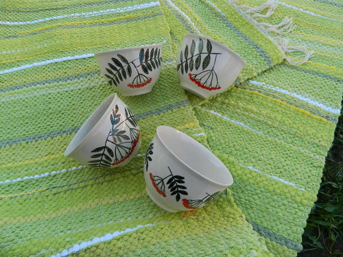 Kompotka jeřabinová — foto 3