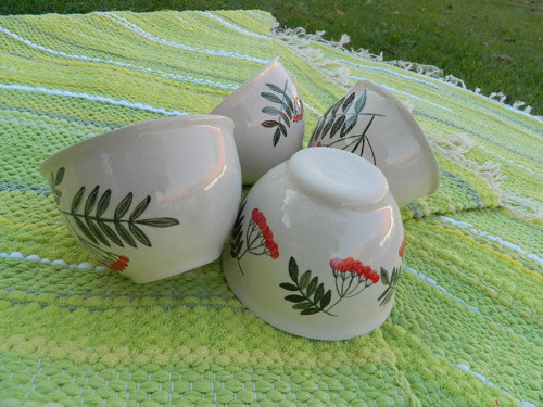 Kompotka jeřabinová — foto 5
