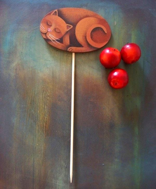 Píchněte mě kam chcete :-) — foto 4