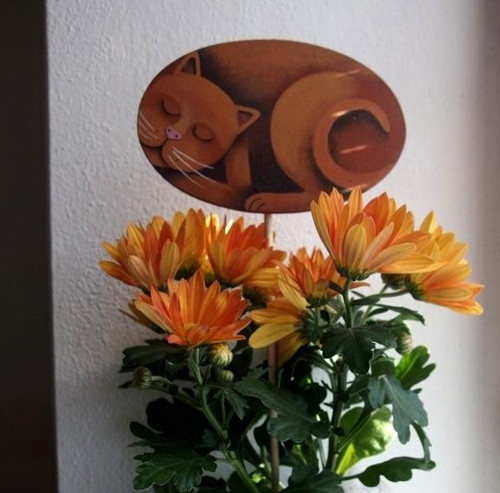 Píchněte mě kam chcete :-) — foto 5