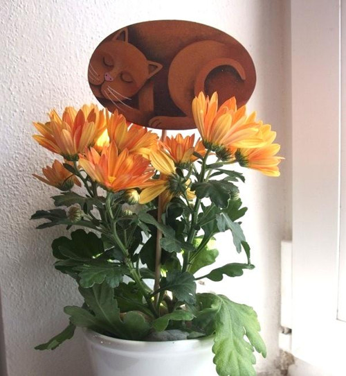 Píchněte mě kam chcete :-) — foto 3