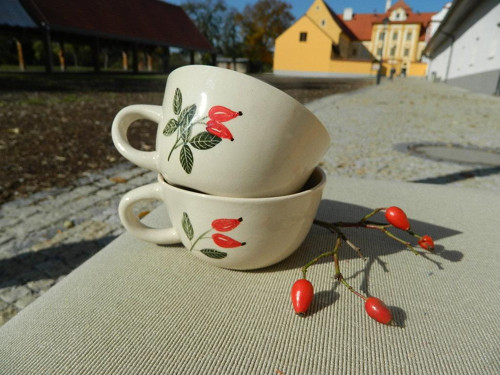 Šípkový čajánek — foto 2