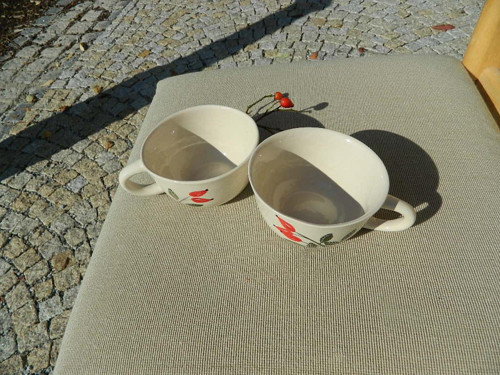 Šípkový čajánek — foto 3