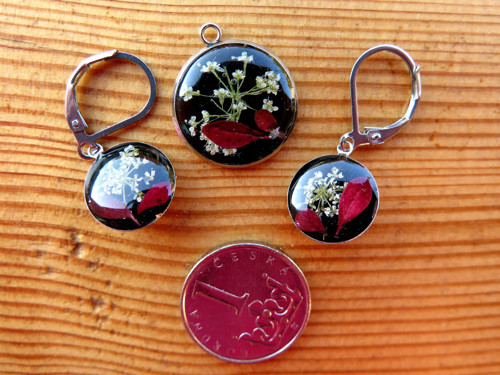 Souprava - miříkovité — foto 2