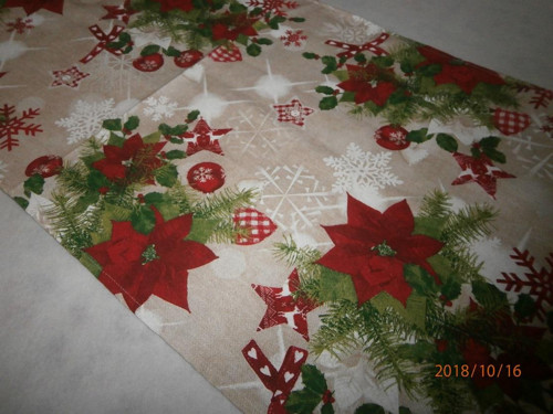 VÁNOČNÍ BĚHOUN:-) — foto 2