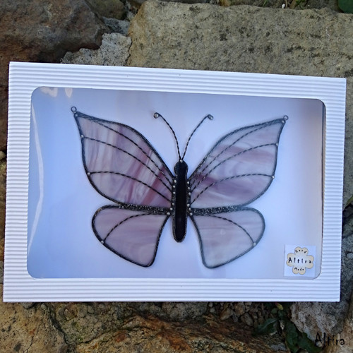 Motýl starorůžový — foto 4