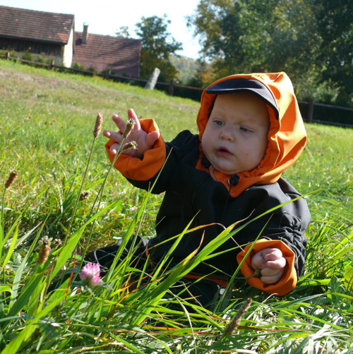 Rostoucí softshell. souprava 1-3 roky — foto 6