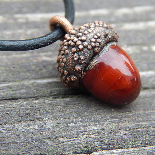 Acorn — foto 2