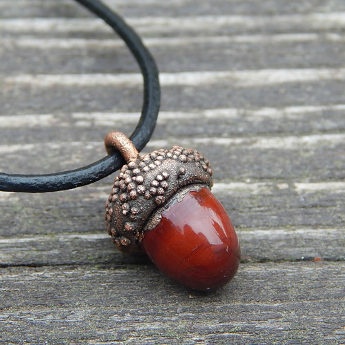 Acorn — foto 4