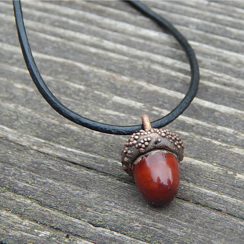 Acorn — foto 5