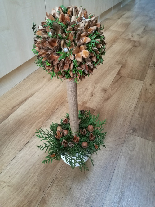 Bukvicová květina — foto 3