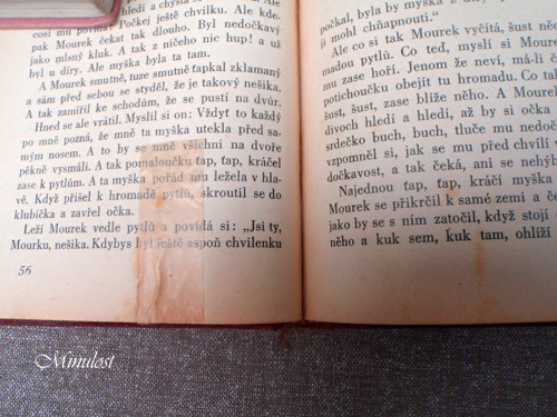 Mourek — foto 5