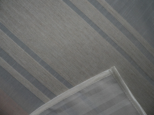 Běhoun s pruhy — foto 3