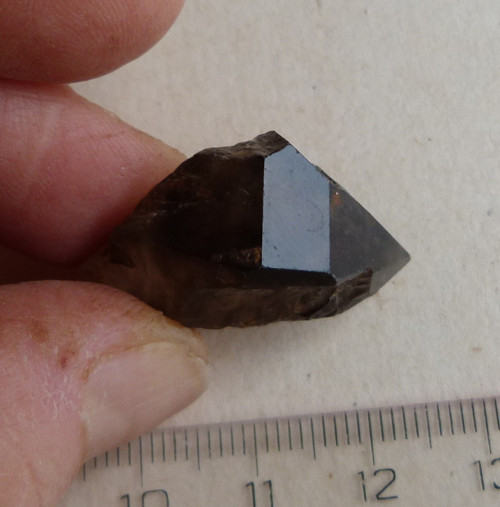 Záhněda ČR - 2,8 cm — foto 2