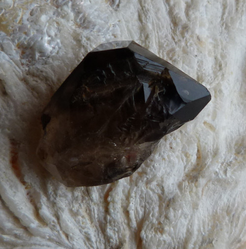 Záhněda ČR - 2,8 cm — foto 5