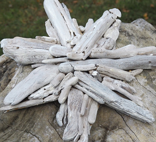 Hvězda - driftwood — foto 3