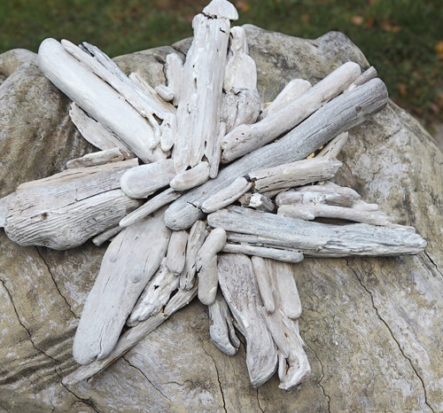 Hvězda - driftwood — foto 4