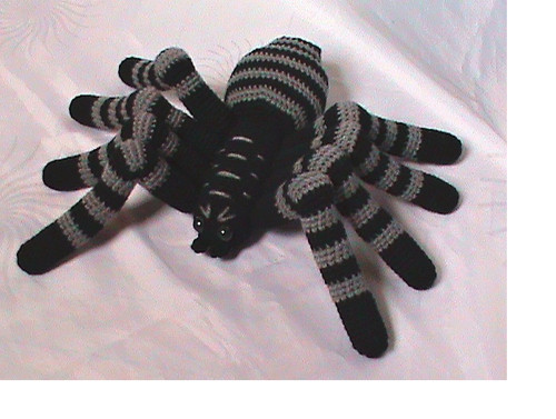 Arachno šedočerný — foto 2