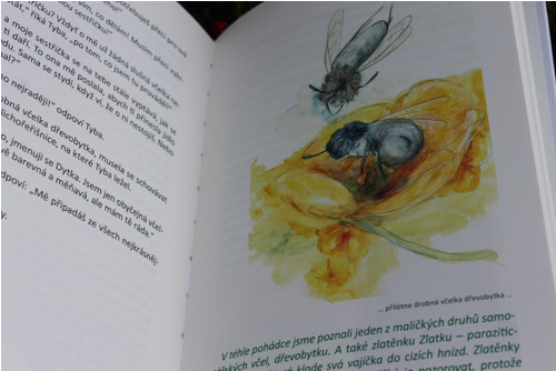 Včelky samotářky — foto 3