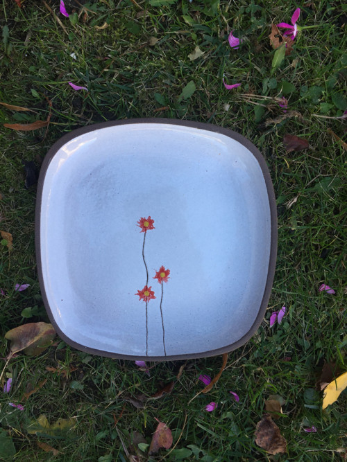 Sakura vykvetla na misce — foto 2