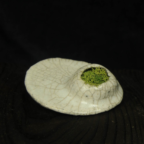 RAKU brošňa - záhradka — foto 2