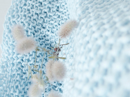 Cotton time* — foto 2