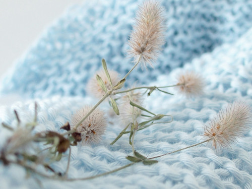 Cotton time* — foto 4