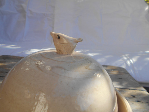 Máslenka s kropenatým ptáčkem — foto 5