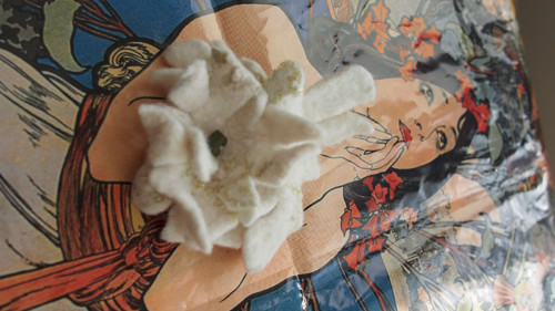 Edelweiss 19 — foto 3