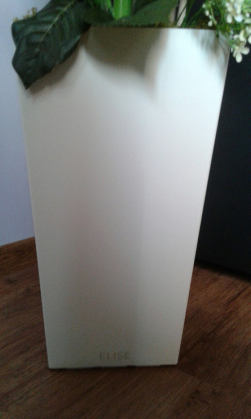 Aranžmá s amarylisy a magnoliemi .Objednávka — foto 2