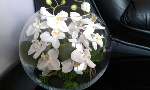 Orchideje ve skle.Objednávka — foto 3