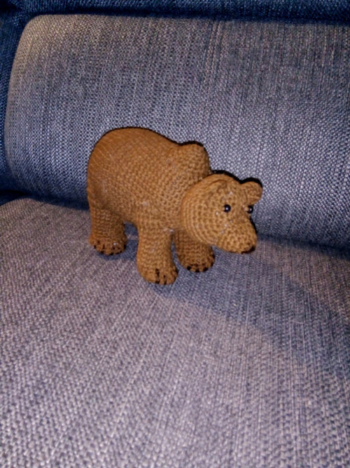 Medvěd — foto 3