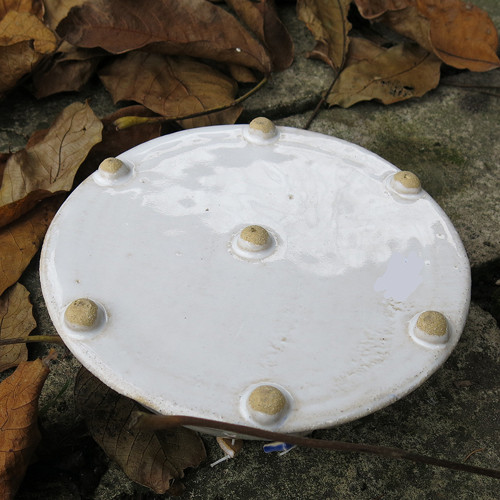 Miska čýčovinak čertvínač — foto 5