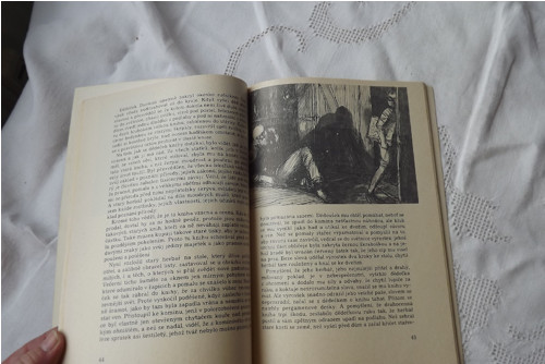 Bruno - Marie Majerová — foto 4