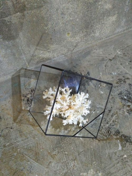 Florarium "Krychle" — foto 2