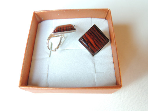 Náušnice palisandr cocobolo ve stříbře — foto 2