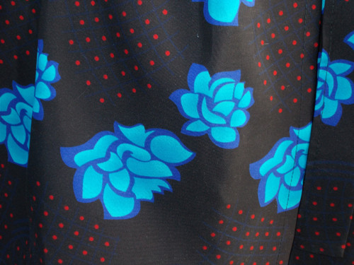 Blue Rose — foto 4