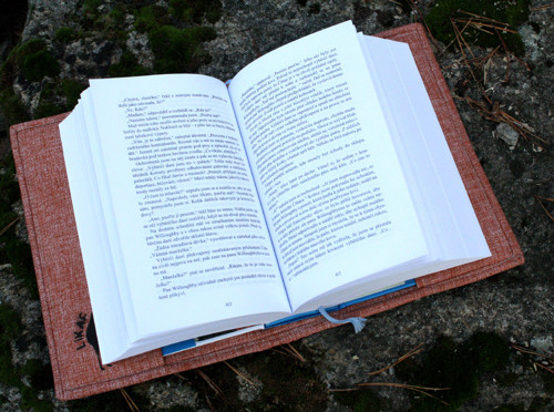Sassenach — foto 4