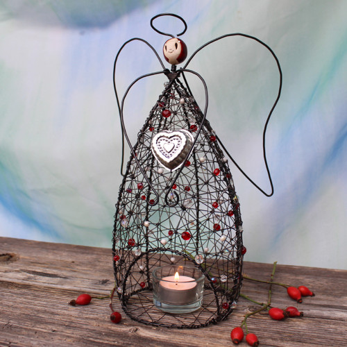 Andělka červená — foto 3
