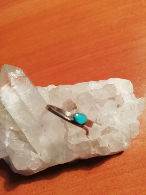 Had’atko s tyrkysovou hlavou — foto 3