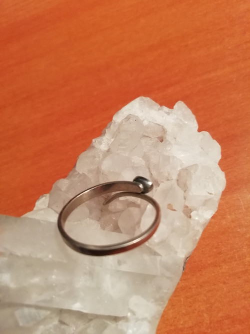 Had’atko s tyrkysovou hlavou — foto 5