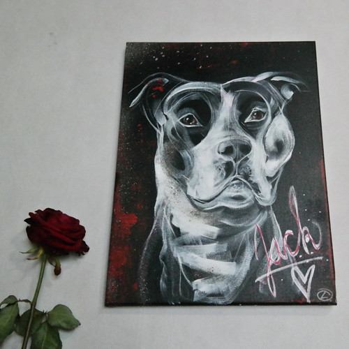 Jack ... OBRAZ NA PŘÁNÍ — foto 3