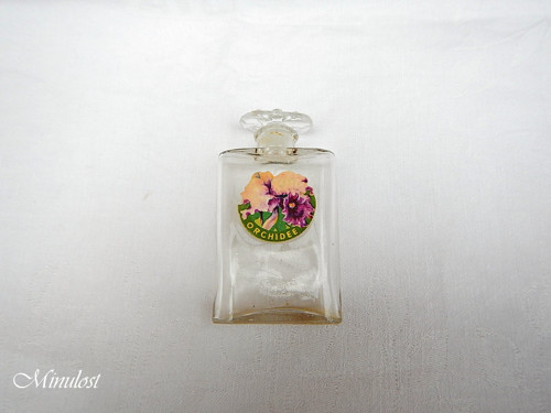 Orchidee — foto 2